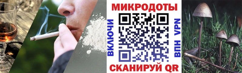 Галлюциногенные грибы Psilocybe  Советская Гавань 