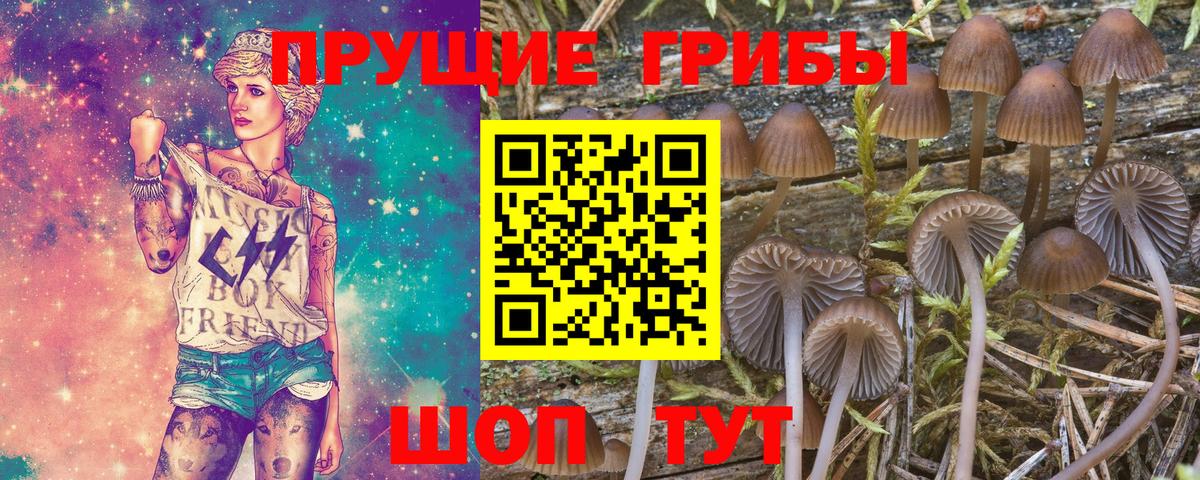 Галлюциногенные грибы прущие грибы Советская Гавань