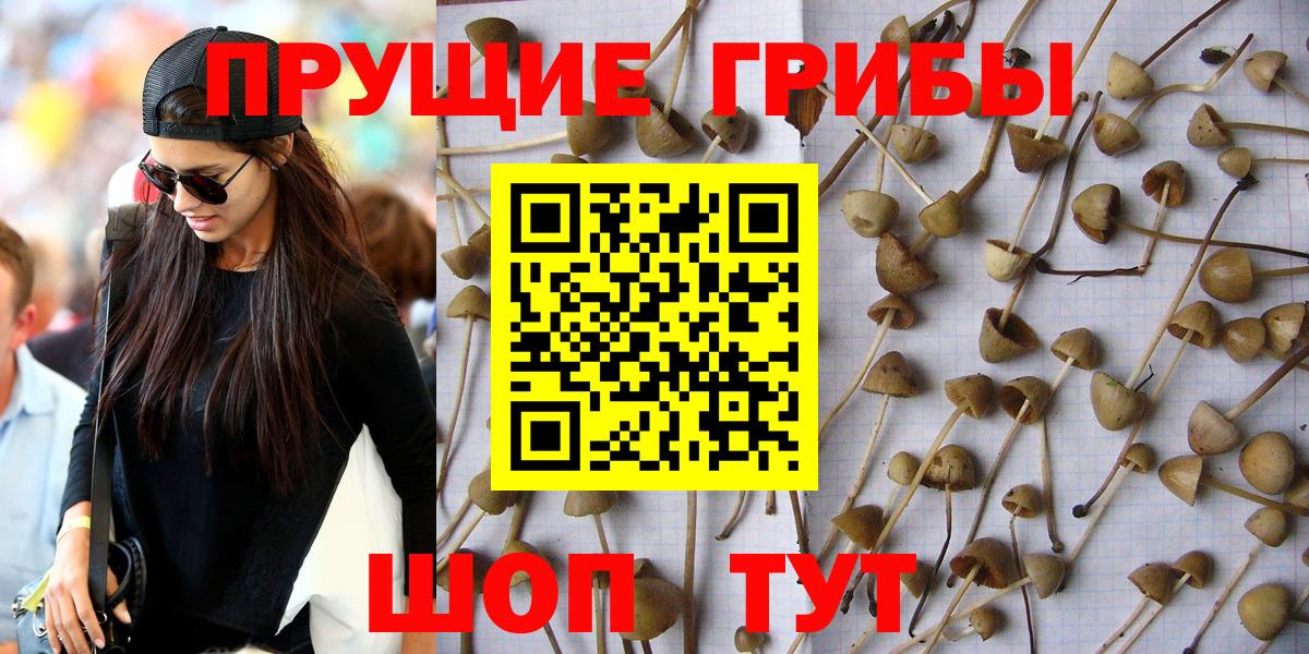 Псилоцибиновые грибы MAGIC MUSHROOMS  Вход с VPN  Советская Гавань 