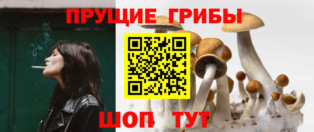 Галлюциногенные грибы GOLDEN TEACHER  Псилоцибиновые грибы Magic Shrooms  Советская Гавань 