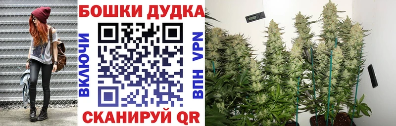 Конопля Bruce Banner  Советская Гавань 